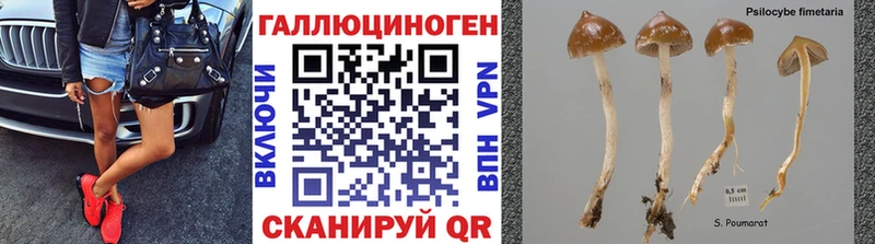 Галлюциногенные грибы мицелий  дарк нет как зайти  Велиж  omg tor 